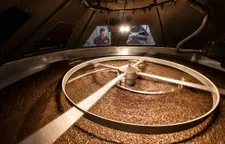 Top view inside rotating industrial coffee roaster with beans, roastmaster observing the process