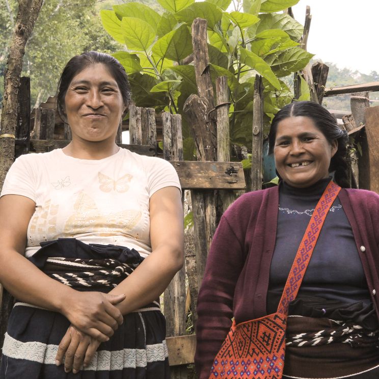 Women harvesting coffee